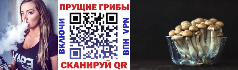 купить  цена  Камышин  Галлюциногенные грибы Magic Shrooms 